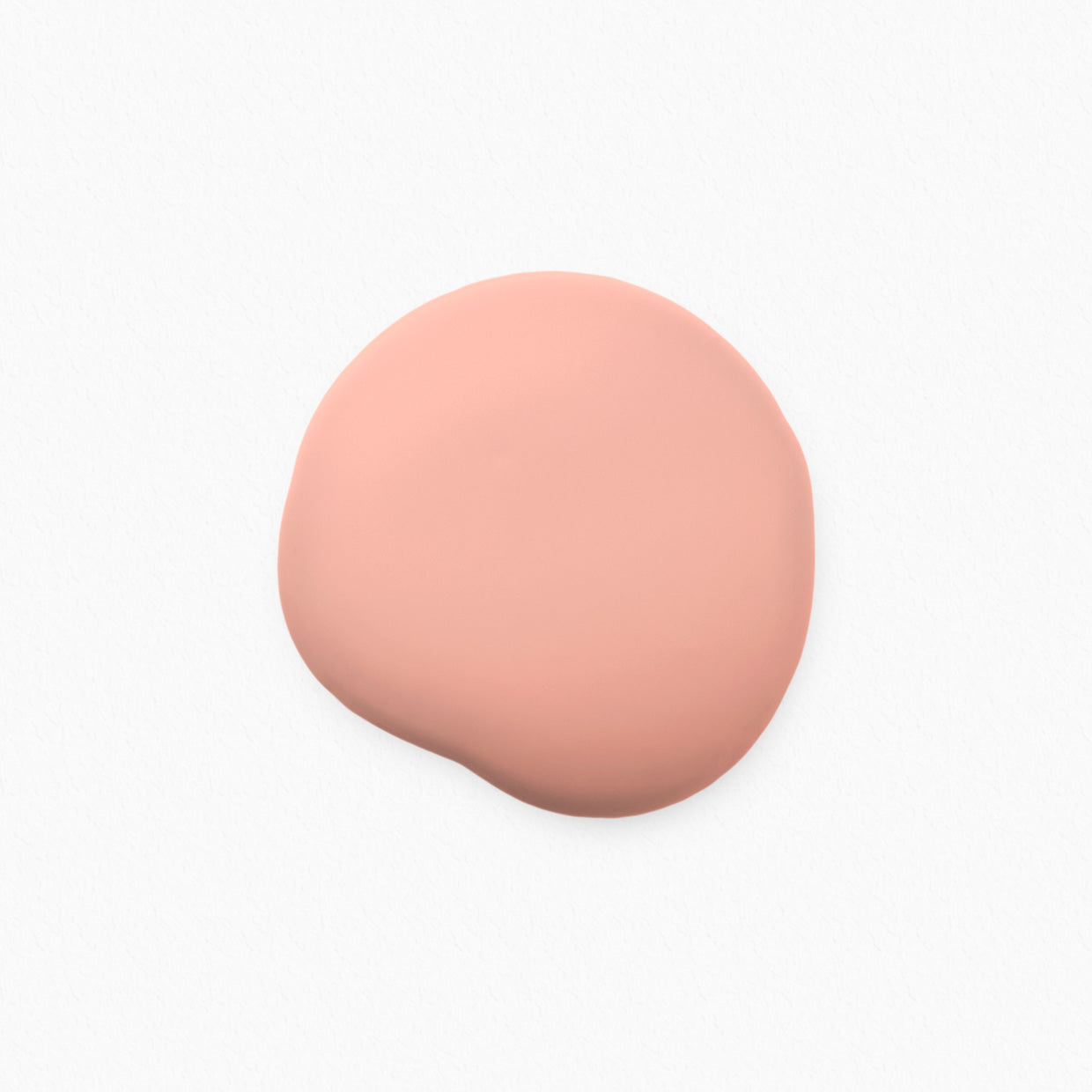 Rosa 03