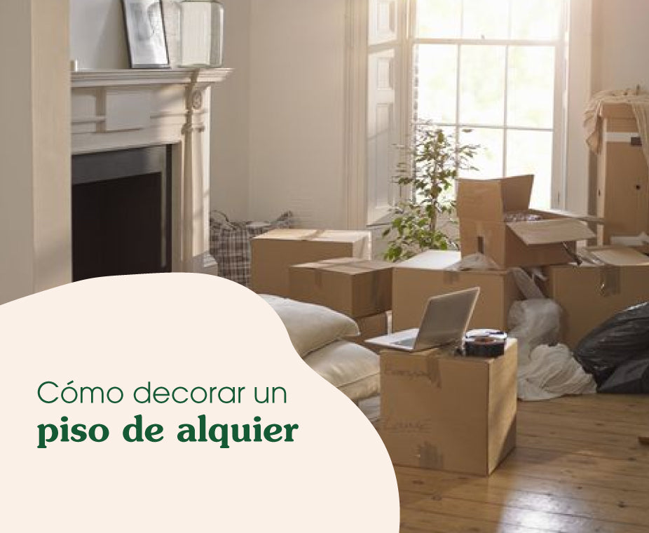 Recomendaciones para un lavado de cara rent-friendly