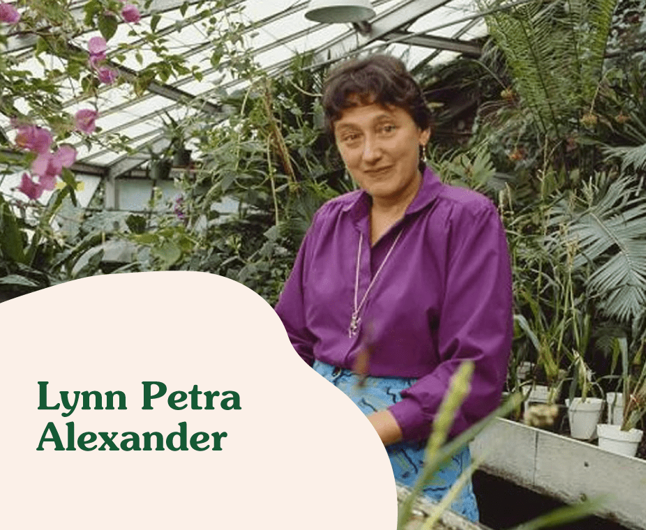 Extraordinarias: Lynn Petra Alexander