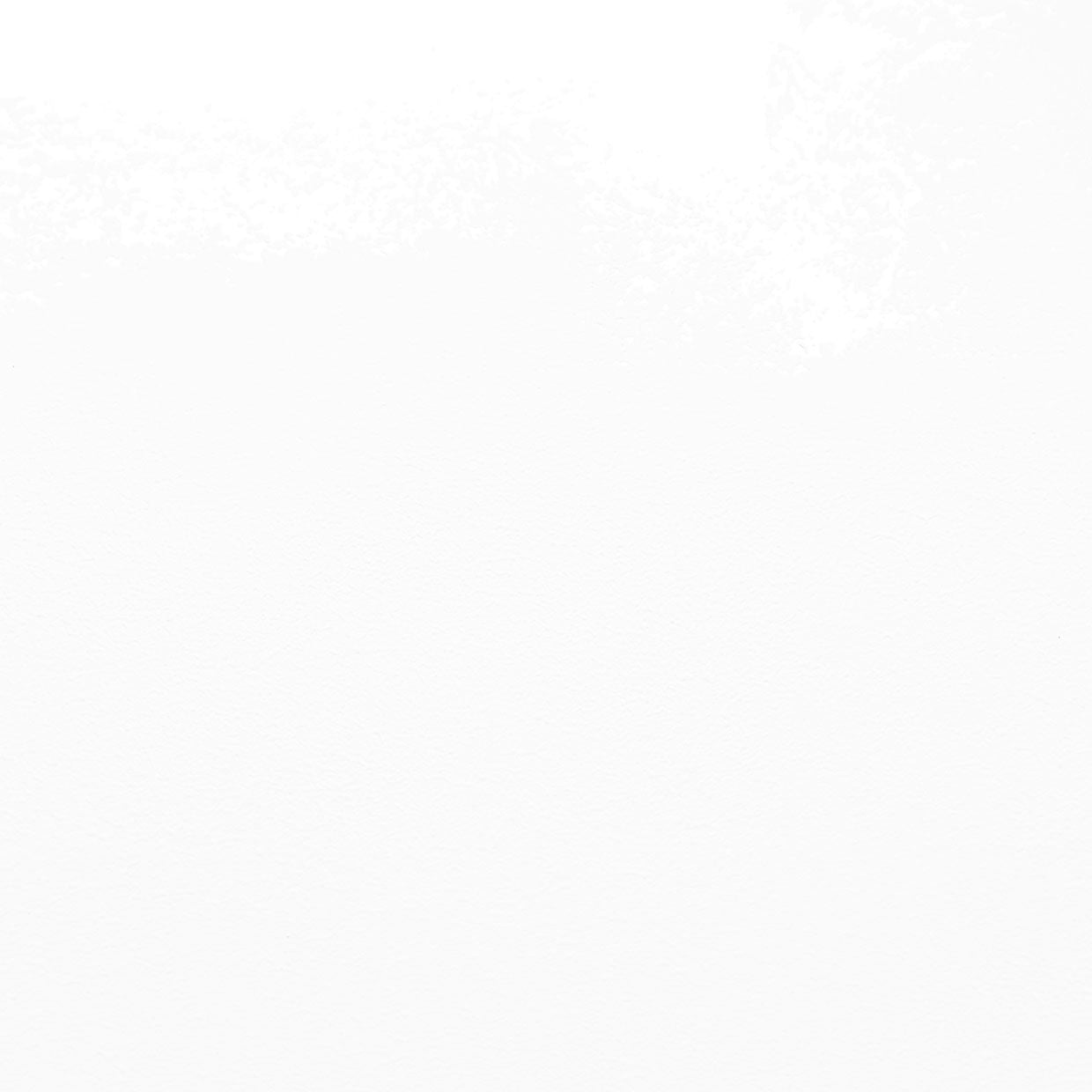 Blanco 00
