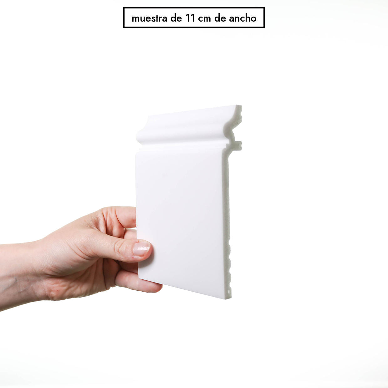 Muestra de 11 cm de ancho del zócalo paloma L